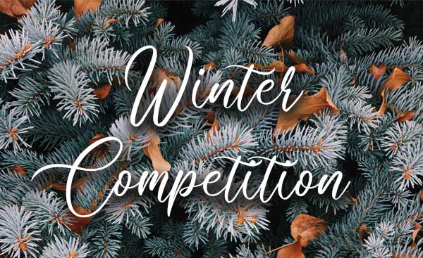 Winter Competition