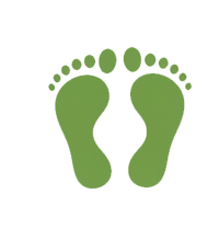 Foot Shape