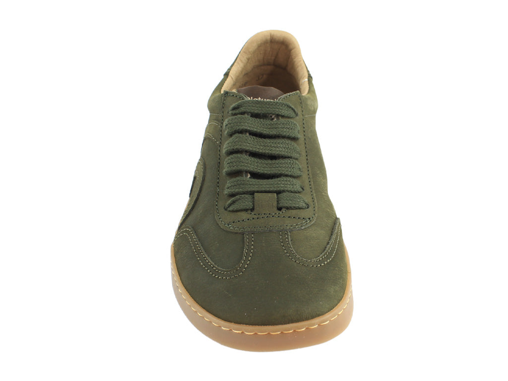 El Naturalista Origen N5916 Forest