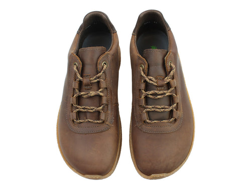 El Naturalista – Shoegarden