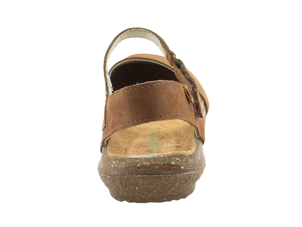 El Naturalista Wakataua N412 Wood