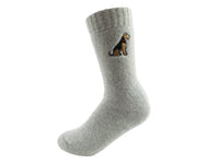 Sweet William Dog Socks Airedale