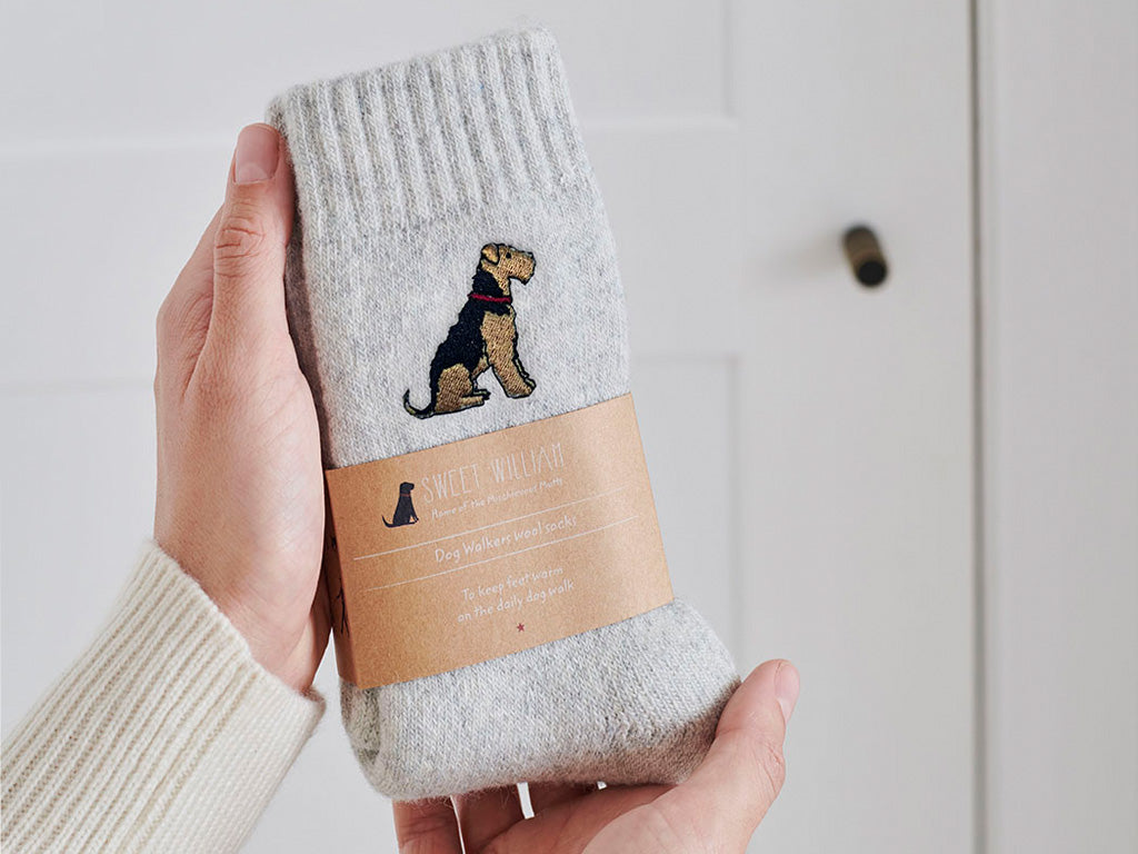 Sweet William Dog Socks Airedale