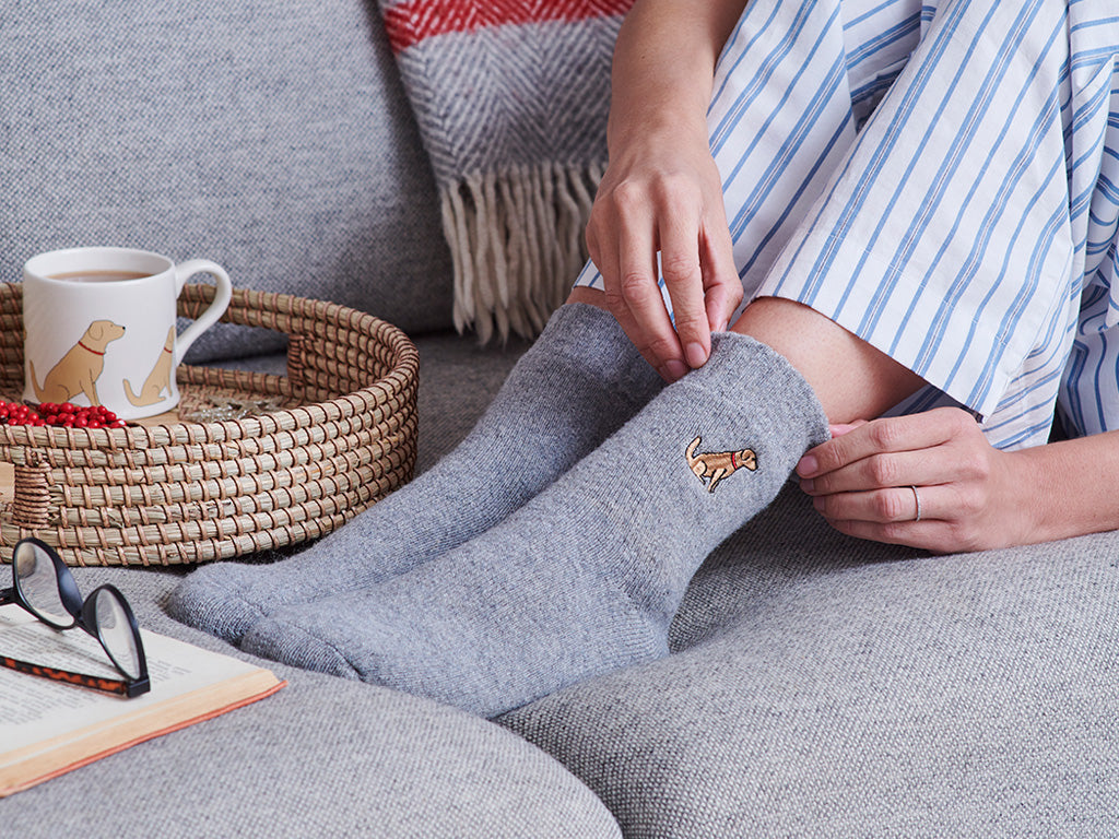 Sweet William Dog Socks Retriever / Labrador