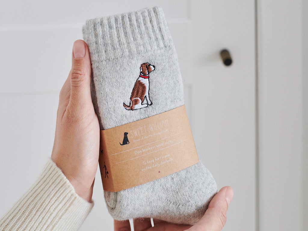 Sweet William Dog Socks Spaniel