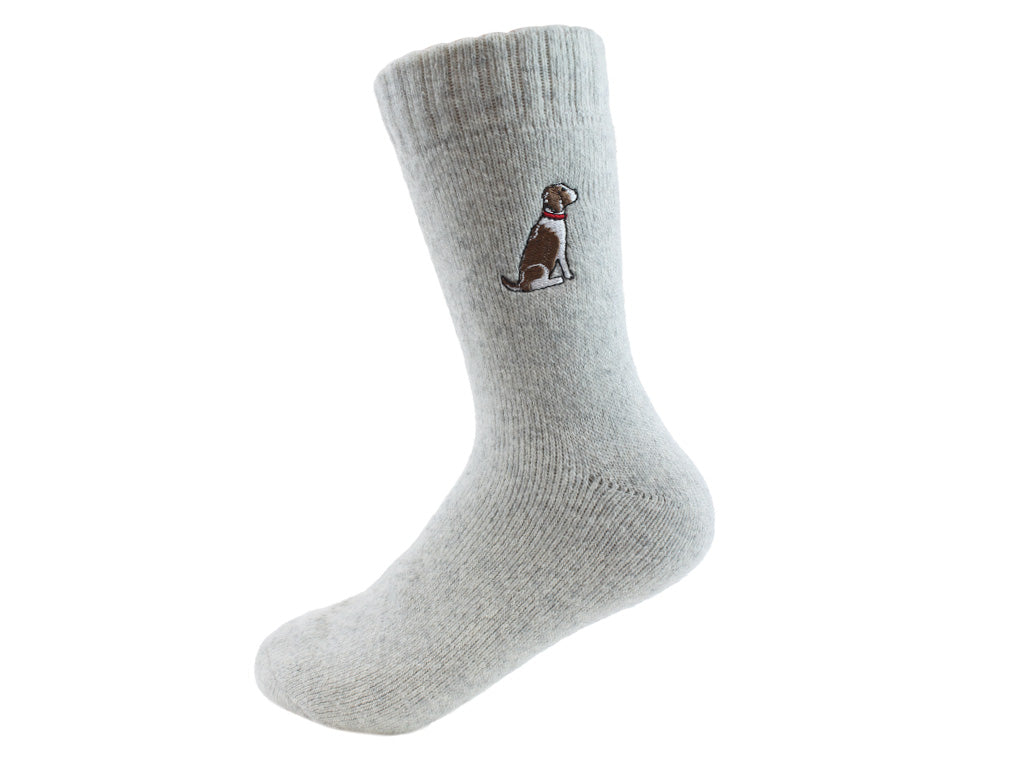Sweet William Dog Socks Spaniel