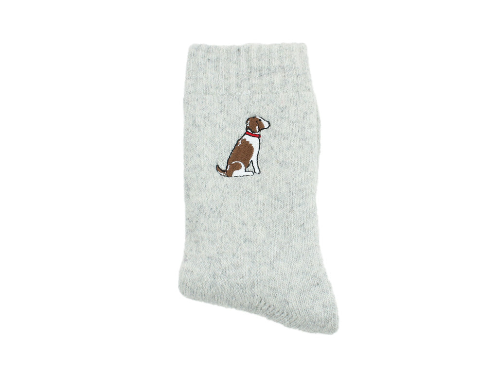 Sweet William Dog Socks Spaniel